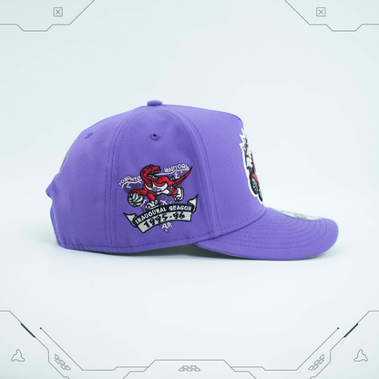 GORRA NEW ERA 9 FIFTY A-FRAME SNAPBACK TORONTO RAPTORS