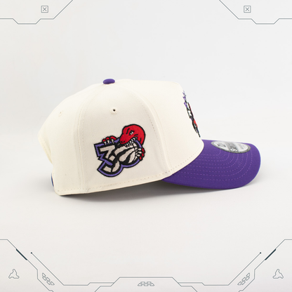 GORRA NEW ERA 9 FORTY A-FRAME SNAPBACK TORONTO RAPTORS