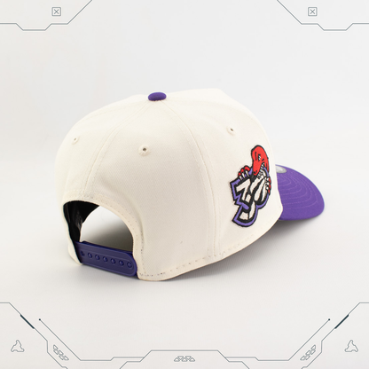 GORRA NEW ERA 9 FORTY A-FRAME SNAPBACK TORONTO RAPTORS